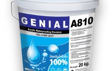 A 810 อะคริลิคกันซึม Acrylic Waterproofing Elastomeric