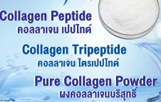 คอลลาเจนเกาหลี, คอลลาเจนไทย, Collagen Korea, Collagen Thailand