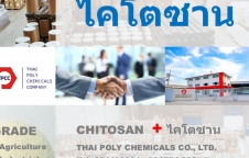 ไคโตซาน, Chitosan, ผลิตไคโตซาน, จำหน่ายไคโตซาน