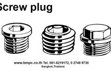 Oil plug, ปลั๊กอุด, Pipe plug, Screw plug, Drain plug, น๊อตถ่าย