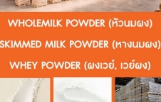 หัวนมผง, หางนมผง, ผงเวย์, Whole milk powder,