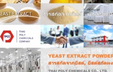 สารสกัดจากยีสต์, ยีสต์สกัด, Yeast extract, Yeast extract powder