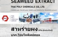 สาหร่ายผง ผงสาหร่าย Seaweed extract powder สาหร่ายสกัด