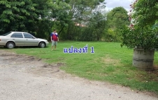 ขายที่ดินสวย 100 ตรว. ใกล้สำนักงานอำเภอเมืองลพบุรี 2 แปลง