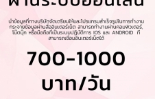 สร้างรายได้เสริมจากระบบอินเทอร์เน็ต