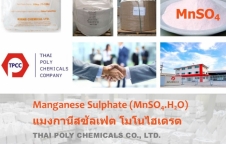 แมงกานีสซัลเฟต, Manganese Sulfate, Manganese Sulphate, MnSO4