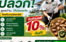 รับกำจัดปลวกและแมลง รับส่วนลด 10 เปอร์เซ็นต์ ทันที