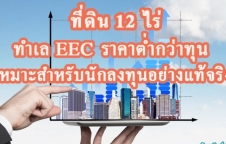 ที่ดินทำเล EEC ปลวกแดง ติดถนน ราคากันเอง