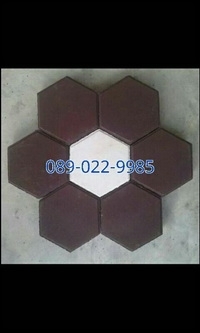 0890229985,แผ่นปูหญ้า.แผ่นทางเดินพิมพ์ลาย,บลีอคปูพื้นหกเหลี่ยม