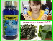 FUCO pure - ฟูโก้เพียว หุ่นเพียว พุงหาย แขนลด ขาเรียว เห็นผลภายใน 1 สัปดาห์