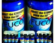 FUCO Puer - ฟูโก้ พุงหาย แขนลด ขาเล็ก