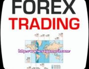 เรียนเทรด Forex เทรดทอง ที่ถูกที่สุด เพียง 4900 บาท เท่านั้น  ด่วน จำนวนจำกัด