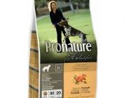 จำหน่ายอาหารสุนัข Pronature Holistic พร้อมบริการจัดส่งสินค้าทั่วประเทศไทย