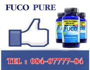 Fuco Pure บอกลาปัญหาอ้วนๆ ไปได้เลย กำจัดไขมันส่วนเกิน