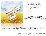 ขาย โอรีซา-อี Oryza-e ราคาถูก 420 - 480 บาท น้ำมันรำข้าวและจมูกข้าว กิฟฟารีน