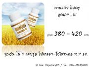 ขาย โอรีซา-อี Oryza-e ราคาถูก 380 - 420 บาท น้ำมันรำข้าวและจมูกข้าว กิฟฟารีน