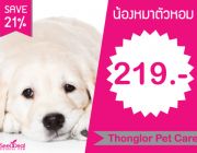 พาเจ้าขนปุยไปอาบน้ำให้ตัวหอม+ตัดเล็บ+เช็ดหู+แปรงขน เพียง 219