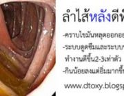 Detoxล้างสารพิษง่ายๆ คุณสามารถทำเองได้จากที่บ้าน ป้องกันมะเร็วและรักษาโรคท้องผู้