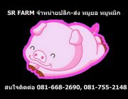 ขายปลีก-ส่ง หมูยอ หมูหมัก หมูกระทะ บุฟเฟ่ต์