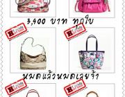 กระเป๋า coach แบรนด์ดัง ของแท้100% ลดล้างสต้อค ใบละ 3900 บาทค่า