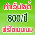 รับทำเว็บไซต์ราคาถูก 800 บาทต่อปี ฟรีโดเมนเนม