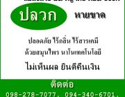 กำจัดปลวกด้วยสมุนไพรนาโนไวท์ nanowhite ปรึกษาฟรี ปลอดภัย-หายขาด-ไร้สารเคมี