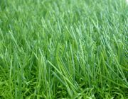 หญ้าเทียม สีสดอ่อนใบหญ้าขนาดเล็ก ตรม.ละ 350 บาท DG-08838