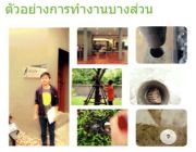 กำจัดปลวกขั้นเทพไม่ต้องเจาะพื้นภายในบ้าน อยากรู้ต้องลอง