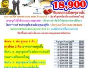 โปรแกรมทัวร์ญี่ปุ่น เกาหลี ฮ่องกง เดินทางมค.-เมย. 2558