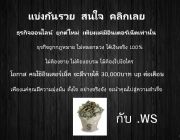 เทคนิคการหาเงิน ผ่านเน็ต ง่ายๆ ได้เงินจริง 100 % ถูกกฎหมาย