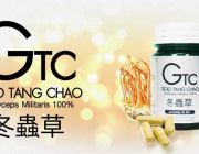 +++ GTC Gold Tang Chao อาหารเสริมถั่งเช่าสีทองแท้ 100% จากทิเบต