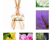 เปิดรับตัวแทนจำหน่าย น้ำมันหอมระเหย reed diffuser สมัครฟรี 0890595583