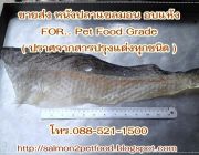 ขายส่ง หนังปลาแซลมอนอบแห้ง วัตถุดิบ สำหรับ อาหารสุนัข  Pet Food