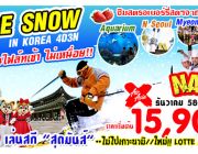 ทัวร์เกาหลี ICE SNOW IN KOREA 4วัน3คืน เริ่มเพียง 15900.-