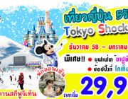 ทัวร์ญี่ปุ่น Tokyo shock price 5วัน3คืน เริ่ม 29900.-