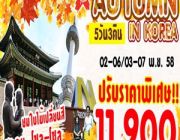 ทัวร์เกาหลี 5 วัน 3 คืน ราคาเริ่มต้น 11900