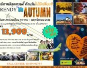 ทัวร์เกาหลี: REVISE TRENDY AUTUMN 5วัน3คืน ตลอดเดือนตุลาคม-พฤศจิกายน 2558