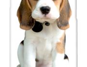 Casetitude เคสมือถือ เคส iPhone Samsung ลาย บีเกิล Beagle