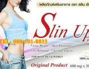 Slin Up Premium สลินอัพ พรีเมี่ยม ช่วยลดน้ำหนัก และไขมันสะสมในร่างกาย