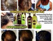 Shampoo-conditionerแชมพู-ครีมนวด