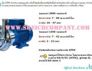 Centrifugal Pump &gt; Hygienic Series CTH