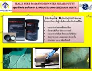 SEAL X PERT PS106Under Water Repair Putty กาวอีพ๊อกซี่