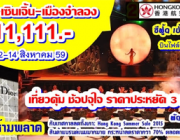 ทัวร์ฮ่องกง เซินเจิ้น หมู่บ้านวัฒนธรรม SAVE SAVE 3วัน 12-14 สิงหาคม 2559 ราคา11