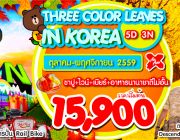 THREE COLOR LEAVES IN KOREA 5D3N