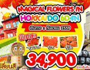 MAGICAL FLOWER IN HOKKAIDO 6DAYS 4NIGHTS