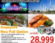 Singapore Full Option 4D3N