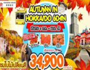 ทัวร์ญี่ปุ่น AUTUMN IN HOKKAIDO 6 วัน 4 คืน พฤศจิกายน - ธันวาคม 2559 34900 บาท