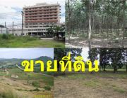 063-363-2595 ขายที่ดิน สวนยาง สวนผลไม้ ที่เปล่า ในจันทบุรี ตราด