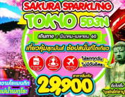 ทัวร์ญี่ปุ่น SAKURA SPARKLINK TOKYO 5D3N BY XJ มีนาคม – เมษายน 2560 เริ่มต้นเพีย