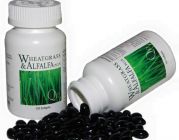 ผักเม็ด นูไลฟ์ Wheatgrass Alfalfa